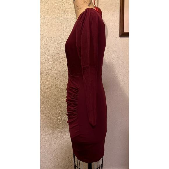 Sarin Mathews Deep V Neck Ruched Long Sleeve Mini Dress Burgandy NWT Size M - Picture 6 of 8